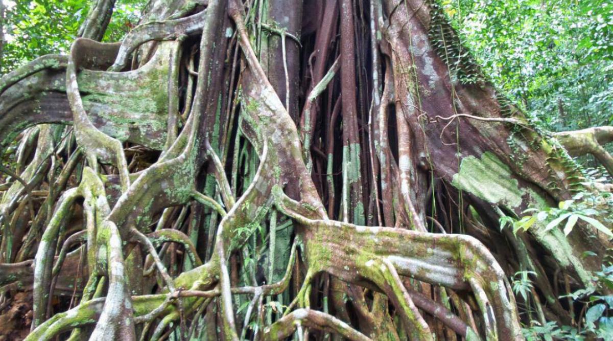 belitung destination foto 2
